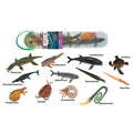 Prehistoric Animals Miniature Figures Collectors Box