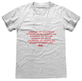 DC Shazam! Fury Of The Gods Grey T-Shirt