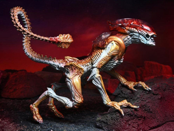 Aliens Panther Alien Ultimate Action Figure
