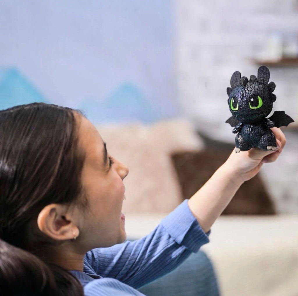 How to Train your Dragon Mini Plush