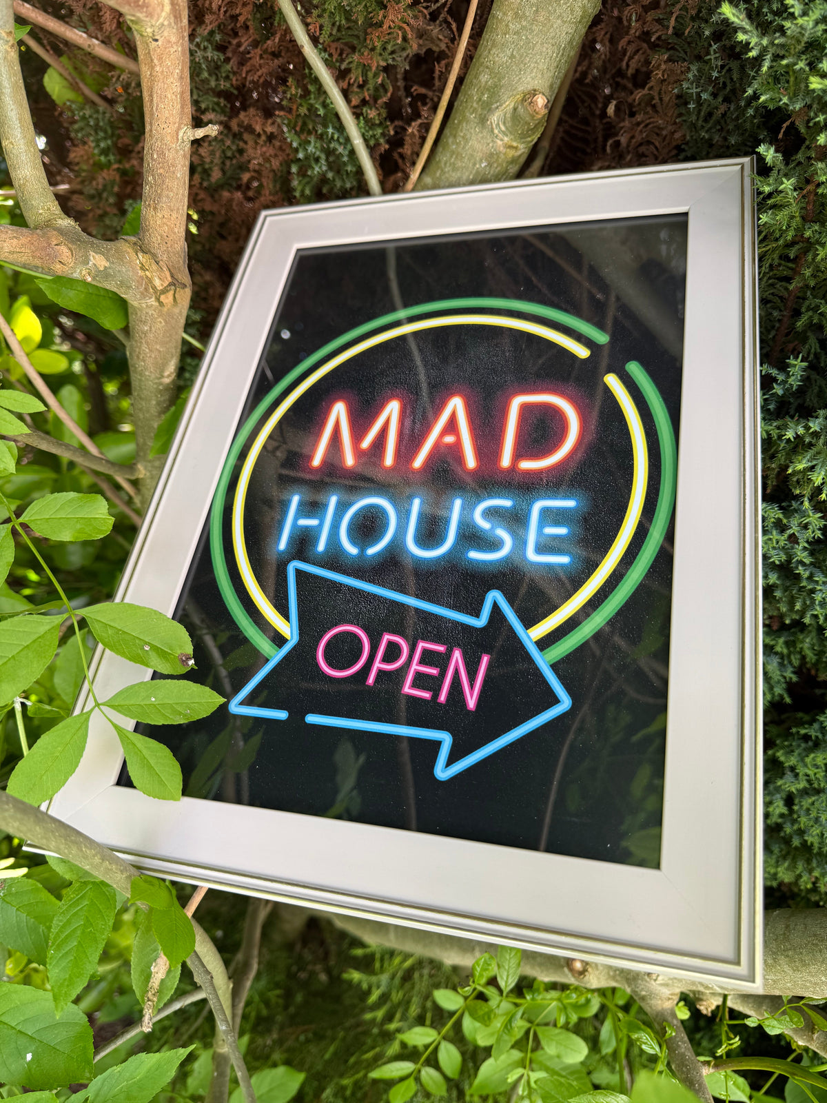 Mad House Framed A4 Print