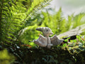 Cuddle Cub Pterodactyl Soft Plush Toy Teddy Bear